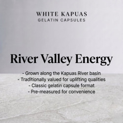 White Kapuas Kratom Gelatin Capsules