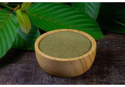 The Standardization of Kratom