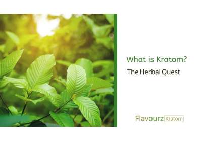 What is Kratom? – The Herbal Quest