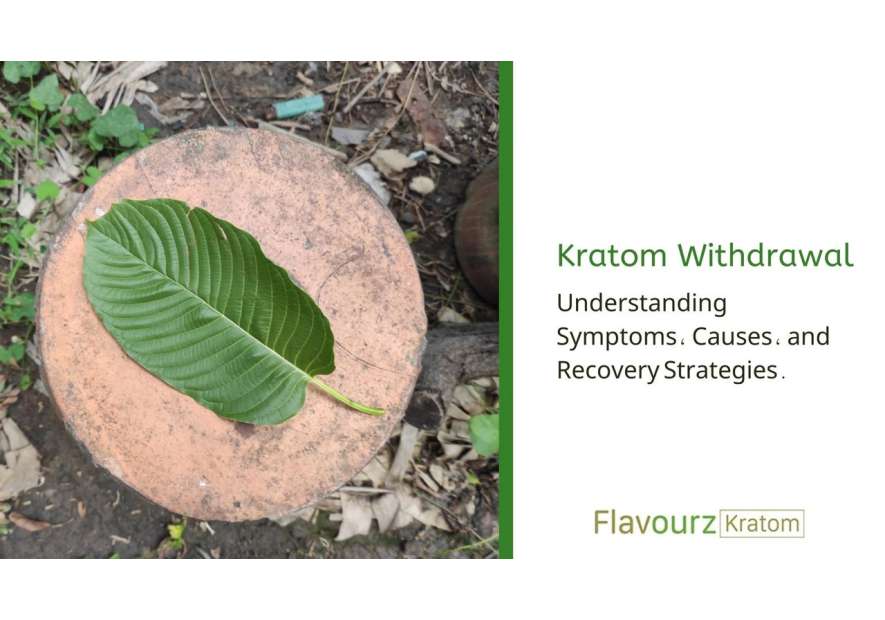 Kratom Withdrawal: Understanding Symptoms, Causes, and Recovery Strategies