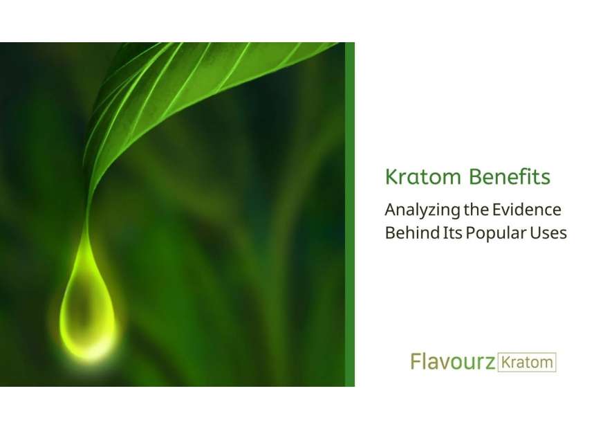 Kratom Benefits: Analyzing the Evidence Behind Its Popular Uses