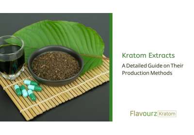Kratom Extracts: A Detailed Guide on Their Production Methods