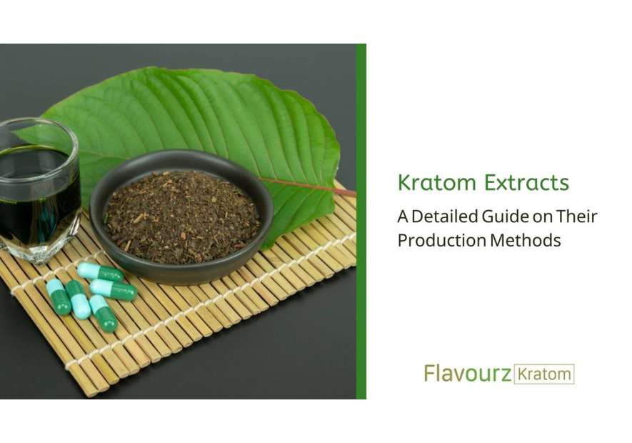 Kratom Extracts: A Detailed Guide on Their Production Methods