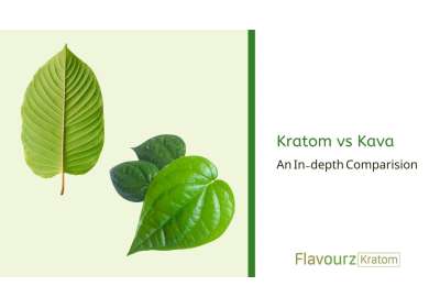 Kratom vs Kava: An In-depth Comparision