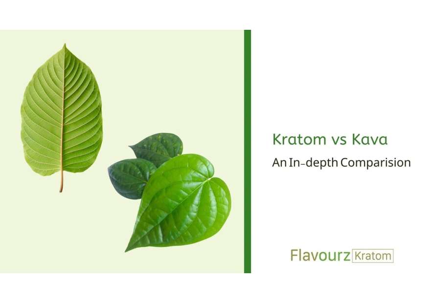 Kratom vs Kava: An In-depth Comparision