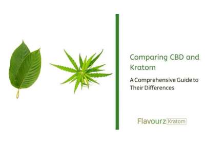 Comparing CBD and Kratom: A Comprehensive Guide to Their Differences