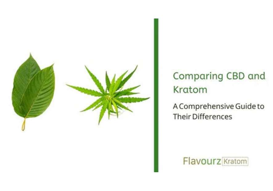 Comparing CBD and Kratom: A Comprehensive Guide to Their Differences