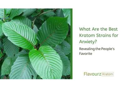 What Are the Most Potent Kratom Strains for Mental Discomfort? - Revealing the People's Favorite