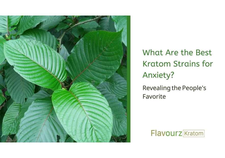 What Are the Most Potent Kratom Strains for Mental Discomfort? - Revealing the People's Favorite