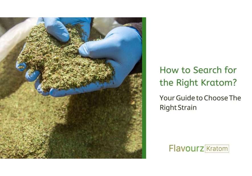 How to Search for the Right Kratom? Your Guide to Choose The Right Strain