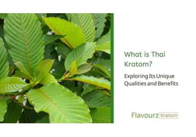 What is Thai Kratom? Exploring Its Unique Qualities and Benefits