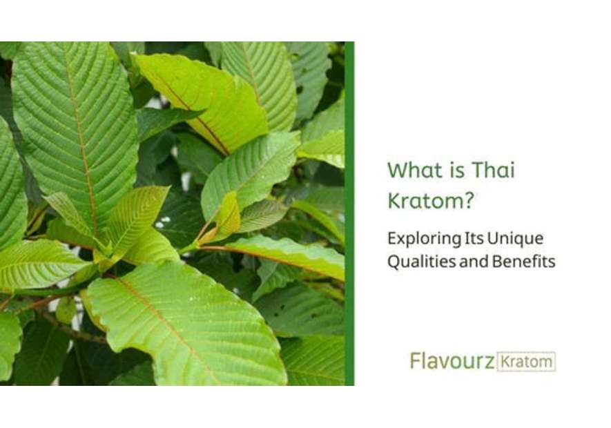 What is Thai Kratom? Exploring Its Unique Qualities and Benefits