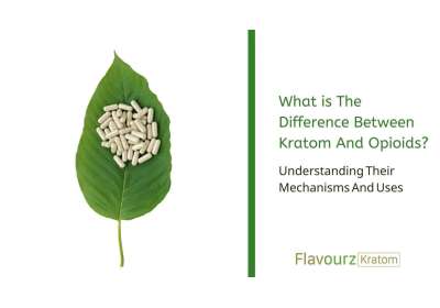 What is The Difference Between Kratom And Opioids? Understanding Their Mechanisms And Uses