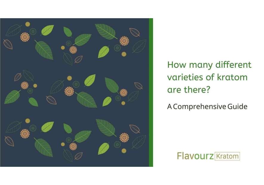 How many different varieties of kratom are there? A Comprehensive Guide