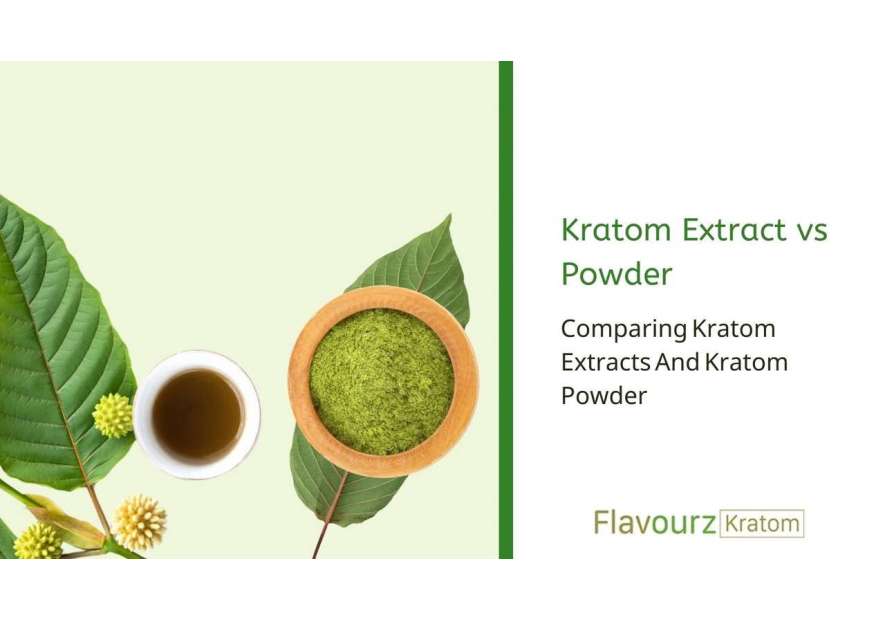 Kratom Extract vs Powder: Comparing Kratom Extracts And Kratom Powder