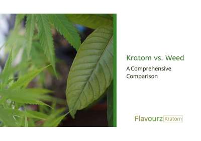 Kratom vs. Weed: A Comprehensive Comparison