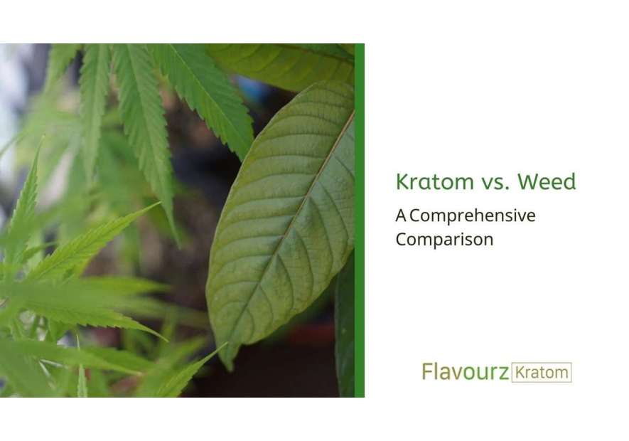 Kratom vs. Weed: A Comprehensive Comparison