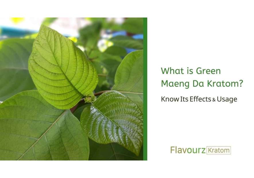 What is Maeng Da Kratom Green? Effects, Characteristics, and Usage