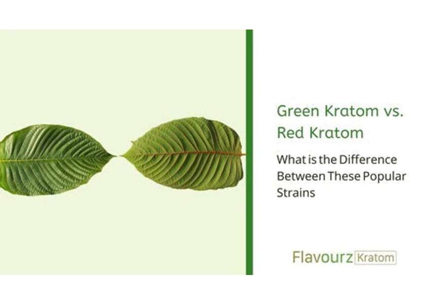 Green Kratom vs. Red Kratom: What is the Difference Between These Popular Strains