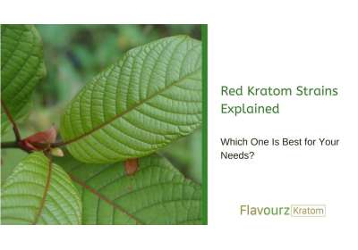 Red Kratom Strains Explained: Which One Is Best for Your Needs?
