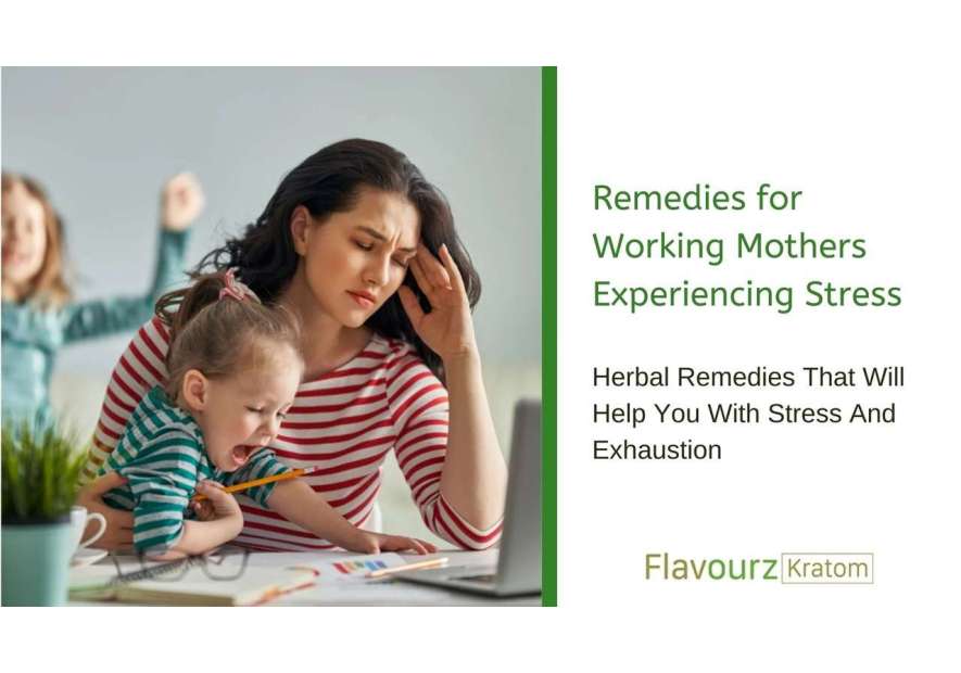 Herbal Solutions for Busy Moms Dealing with Stress and Fatigue