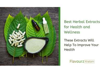 Best Herbal Extracts for Health and Wellness
