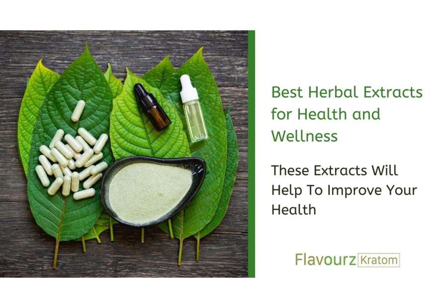 Best Herbal Extracts for Health and Wellness