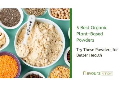 5 Best Organic Plant-Based Powder You Should Try
