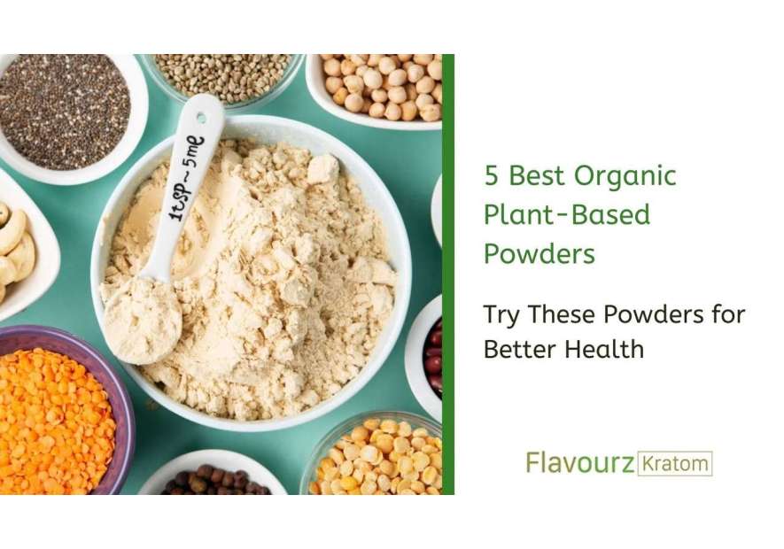 5 Best Organic Plant-Based Powder You Should Try