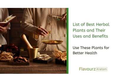 List of Best Herbal Plants and Their Uses and Benefits
