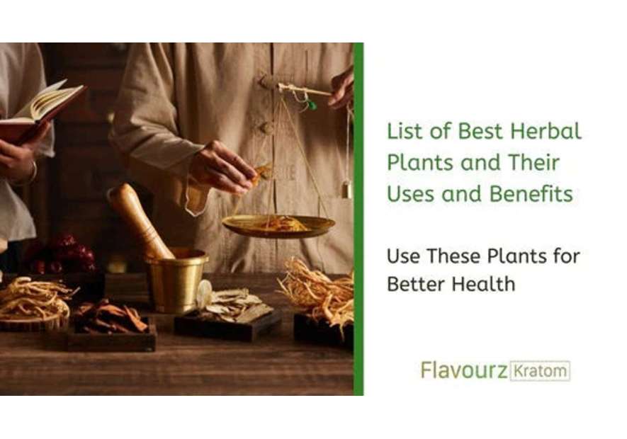 List of Best Herbal Plants and Their Uses and Benefits