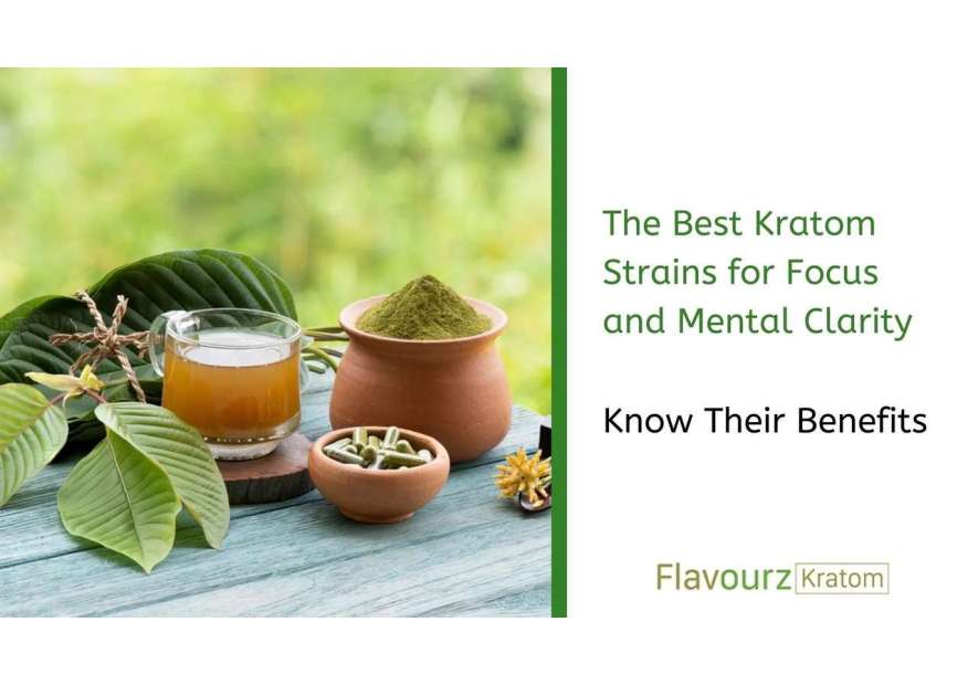 The Best Kratom Strains for Focus and Mental Clarity