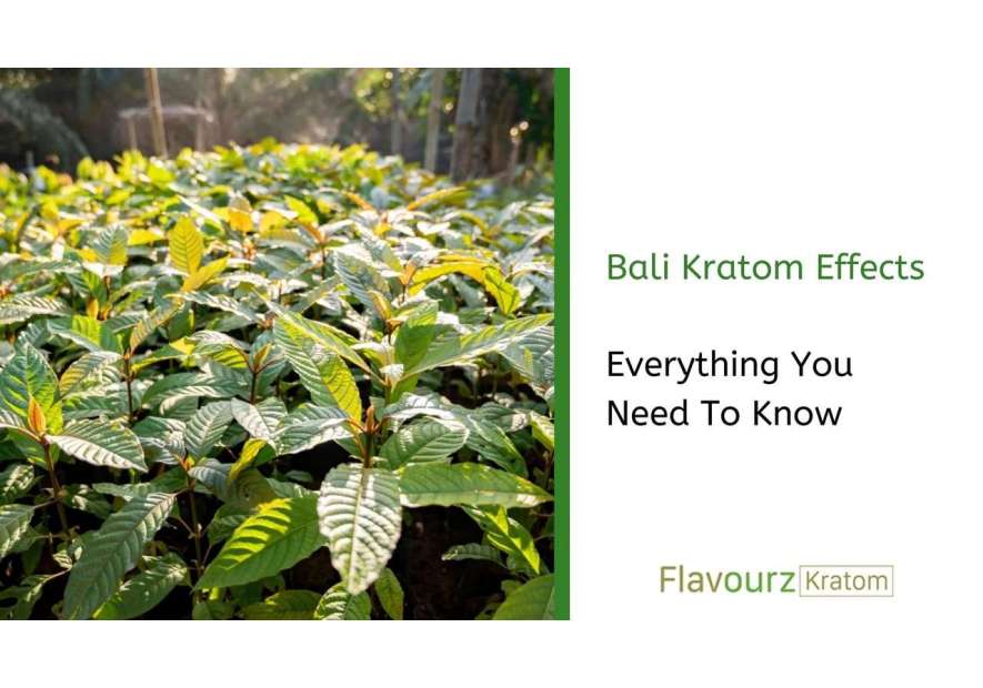 Bali Kratom Effects: Everything You Need To Know