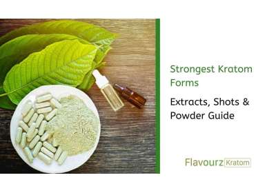 Strongest Kratom Forms: Extracts, Shots & Powder Guide