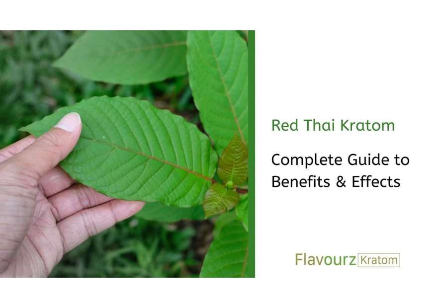 Red Thai Kratom: Complete Guide to Benefits & Effects
