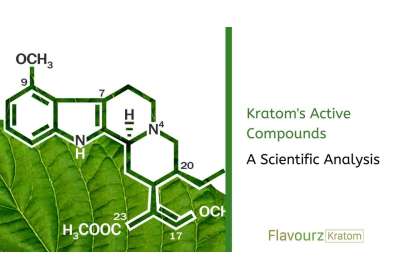 Kratom's Active Compounds: A Scientific Analysis