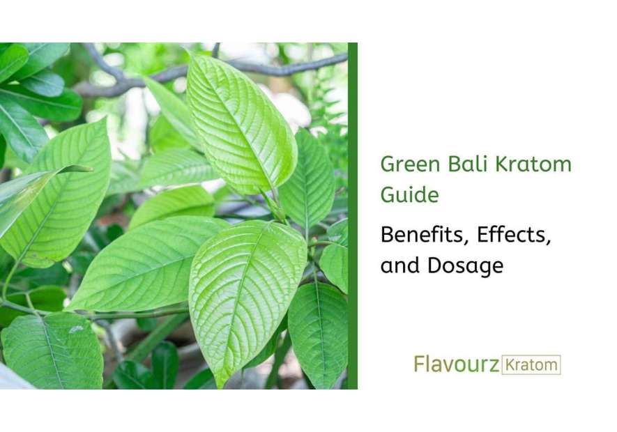 Green Bali Kratom Guide: Benefits, Effects, and Dosage