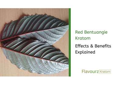 Red Bentuangie Kratom: Effects & Benefits Explained