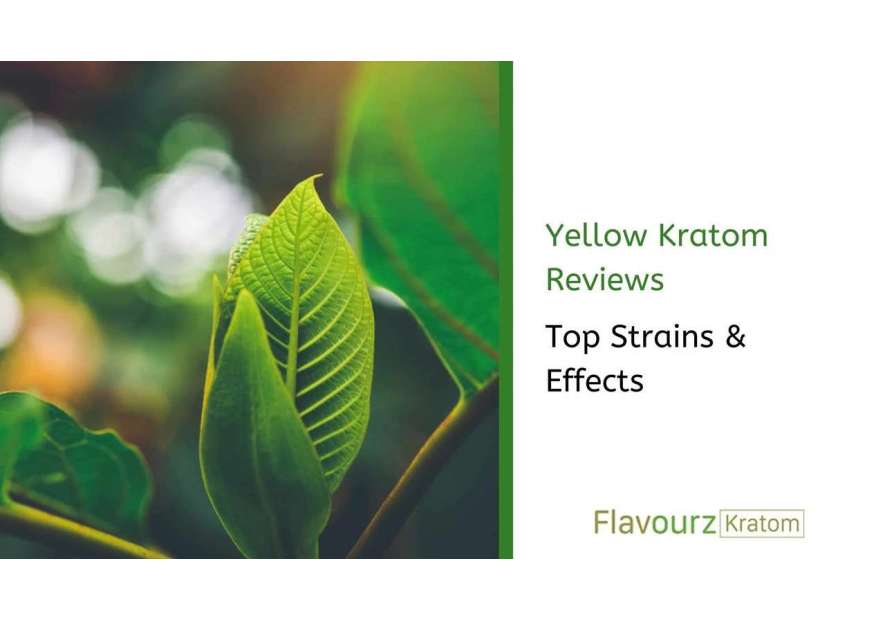 Yellow Strain Kratom: Effects & Reviews