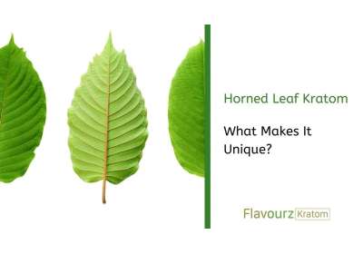 Horned Leaf Kratom: What Makes It Unique?