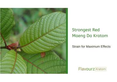 Strongest Red Maeng Da Kratom Strain for Maximum Effects