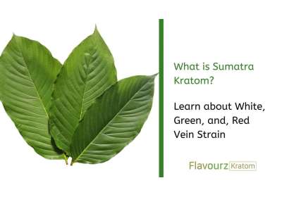 Sumatra Kratom - Learn about White, Green, and, Red Vein Strain