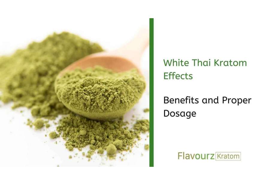 White Vein Thai Kratom Effects: Benefits and Proper Dosage White Vein Thai Kratom Effects: Benefits and Proper Dosage