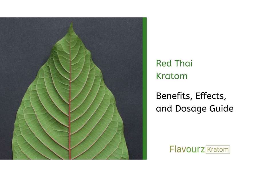 Red Thai Kratom: Benefits, Effects, and Dosage Guide