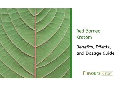 Red Borneo Kratom Effects, Benefits, and Dosage Guide