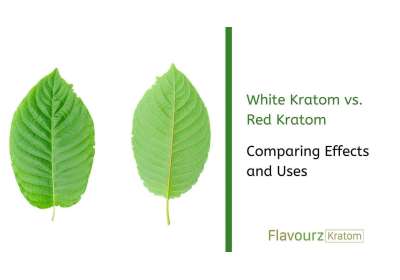 White Kratom vs. Red Kratom: Comparing Effects and Uses