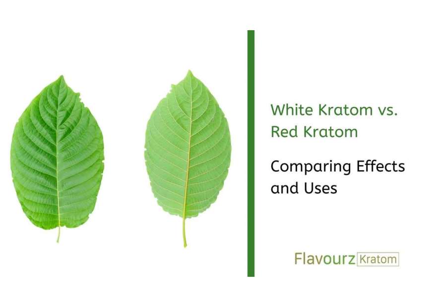 White Kratom vs. Red Kratom: Comparing Effects and Uses