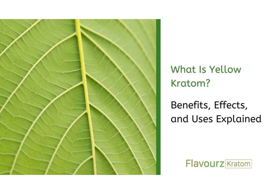 Yellow Kratom: Benefits and Differences Explained