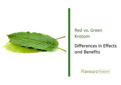 Red vs. Green Kratom: Differences in Effects and Benefits