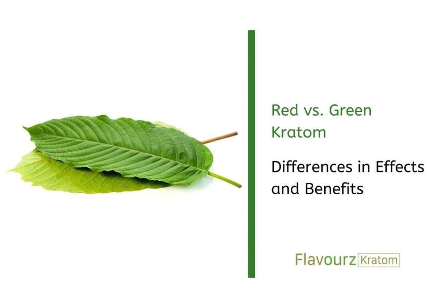 Red vs. Green Kratom: Differences in Effects and Benefits